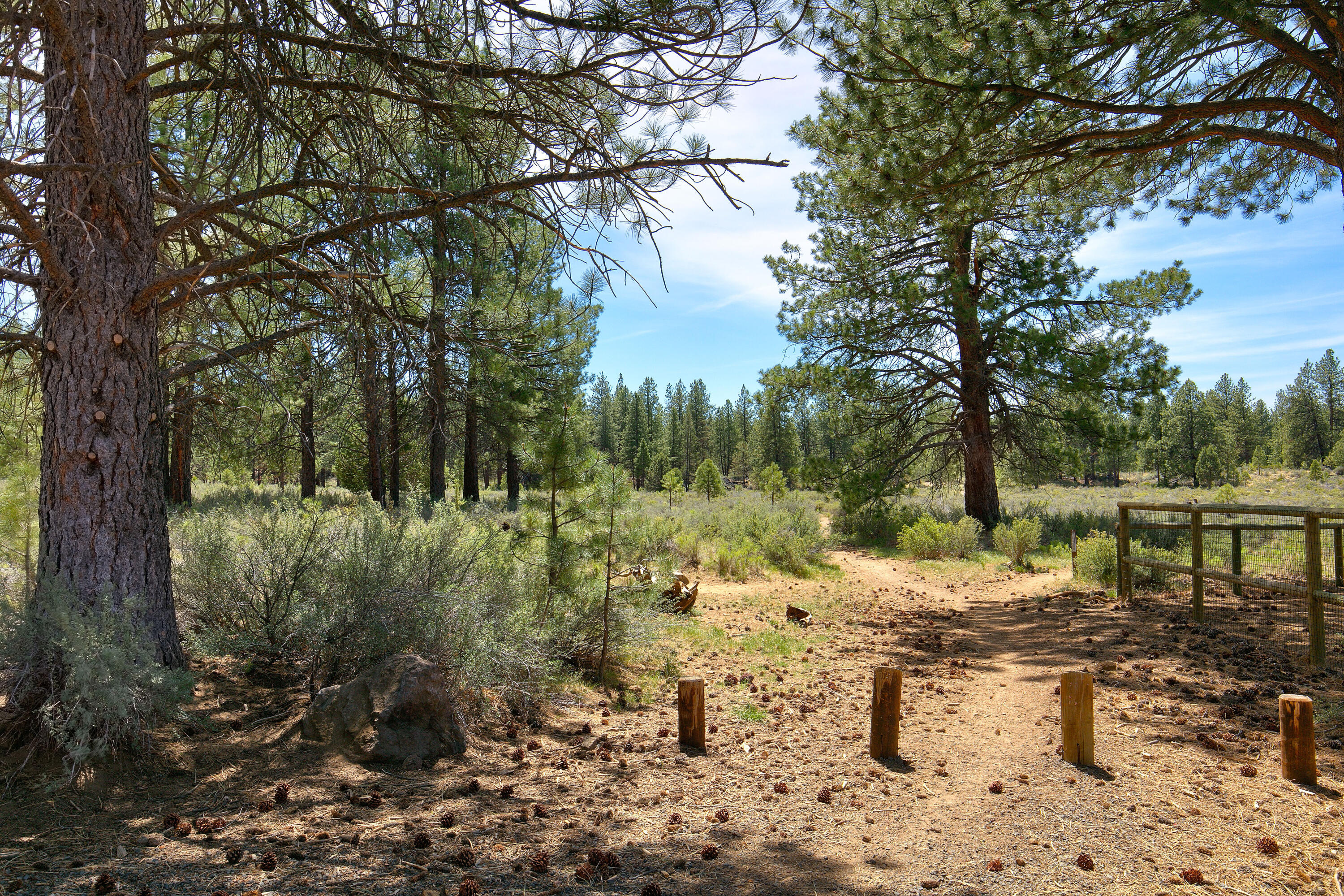 19334 Mohawk Road Bend, OR 97702 - Photo 27 of 33 Lava field trails