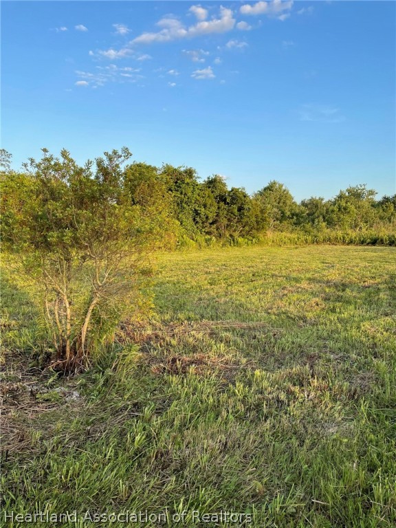 4297-4298 Raccoon Road Zolfo Springs, FL 33890 - Photo 18 of 20 a view of an ocean