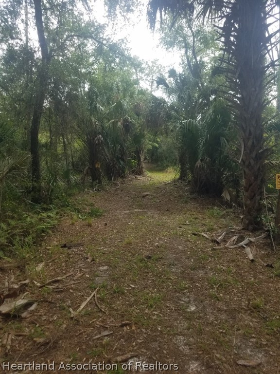4297-4298 Raccoon Road Zolfo Springs, FL 33890 - Photo 2 of 20 a view of a yard with a tree