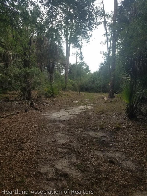 4297-4298 Raccoon Road Zolfo Springs, FL 33890 - Photo 3 of 20 a big yard with lots of green space