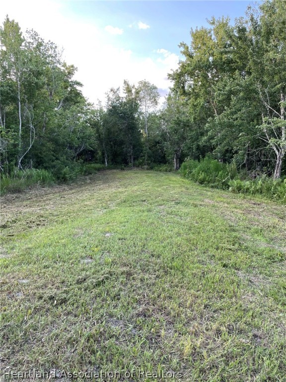 4297-4298 Raccoon Road Zolfo Springs, FL 33890 - Photo 4 of 20 a view of a yard with a trees