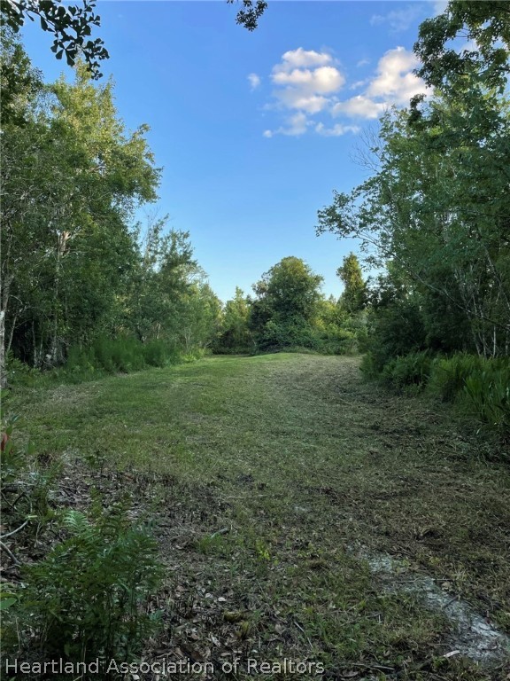 4297-4298 Raccoon Road Zolfo Springs, FL 33890 - Photo 5 of 20 a view of a big yard with lots of green space