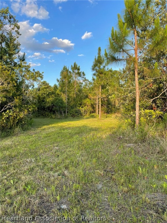 4297-4298 Raccoon Road Zolfo Springs, FL 33890 - Photo 6 of 20 a view of a garden