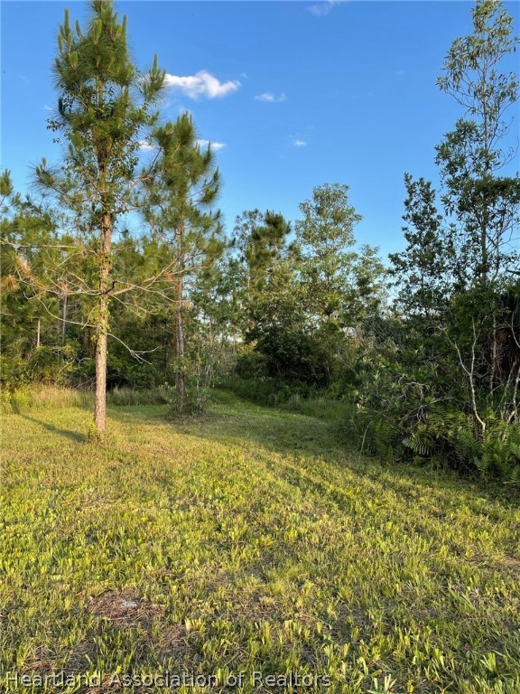 4297-4298 Raccoon Road Zolfo Springs, FL 33890 - Photo 8 of 20 a backyard of a house with lots of green space