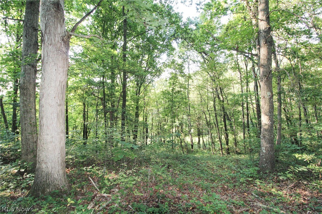 Post Boy Road Newcomerstown, OH 43832 - Photo 2 of 27 Gallery Image 2