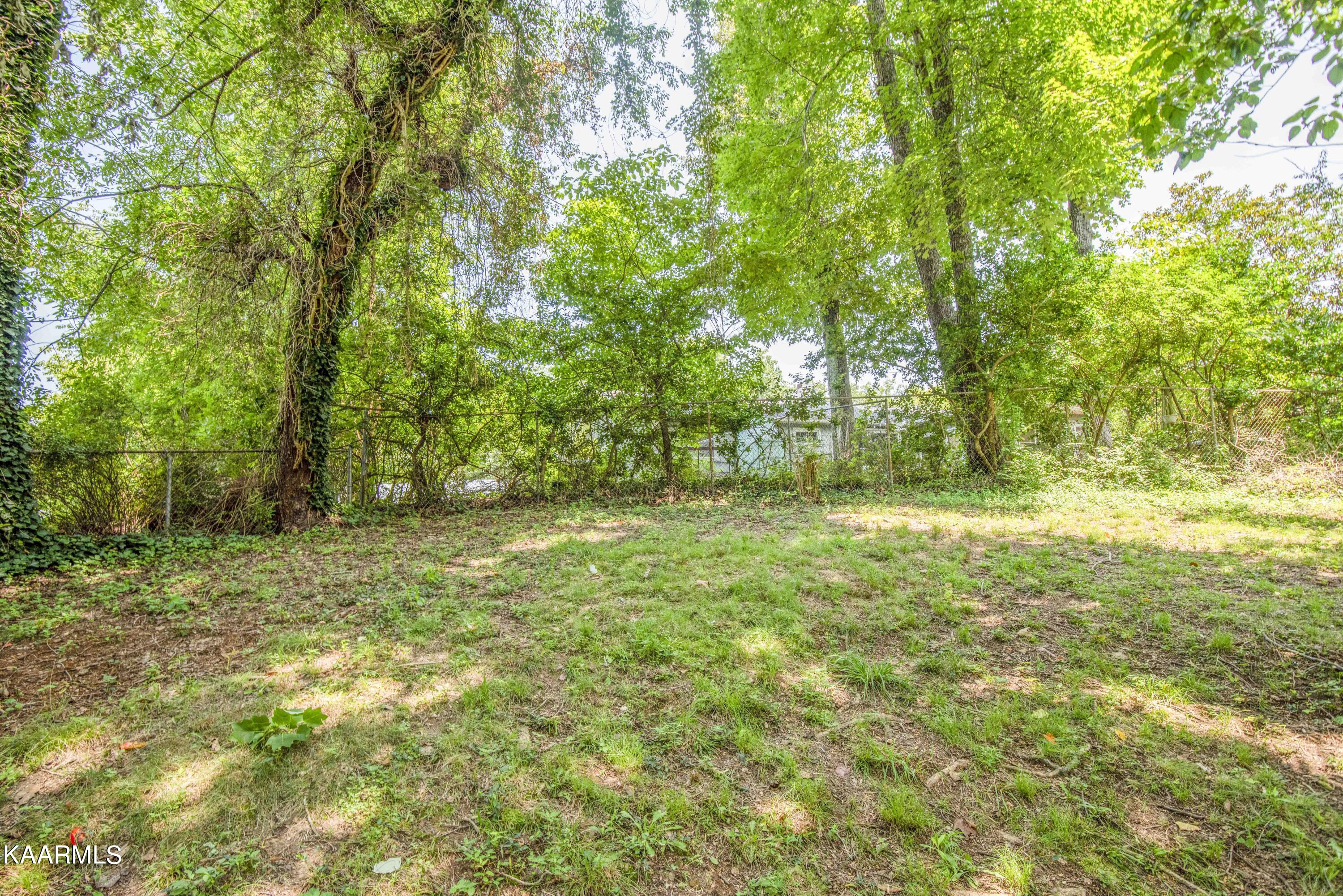 606 Florida Avenue Oak Ridge, TN 37830 - Photo 29 of 31 yard 3_1