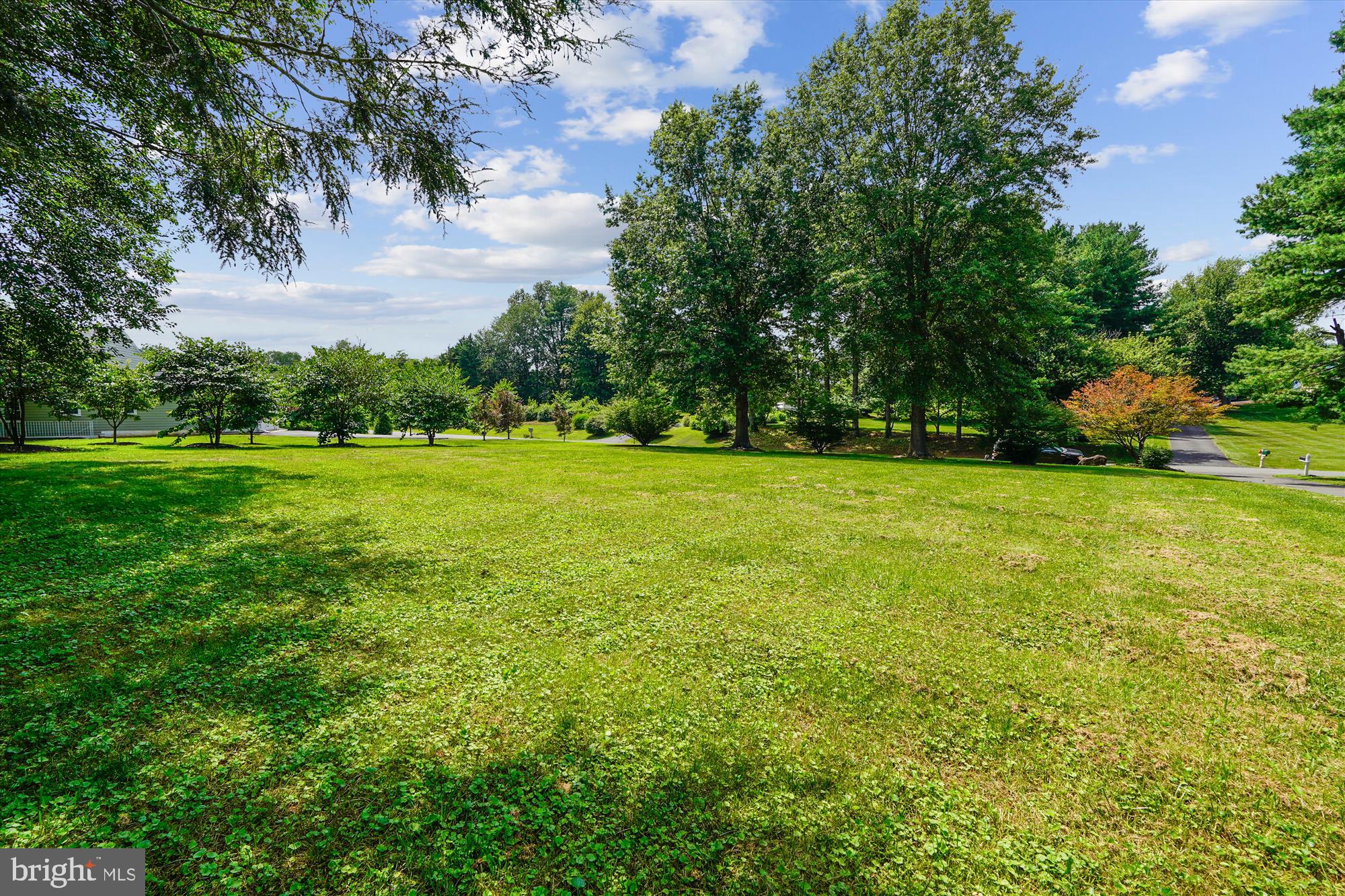 4219 High Ridge Road Haymarket, VA 20169 - Photo 4 of 55 Front Yard