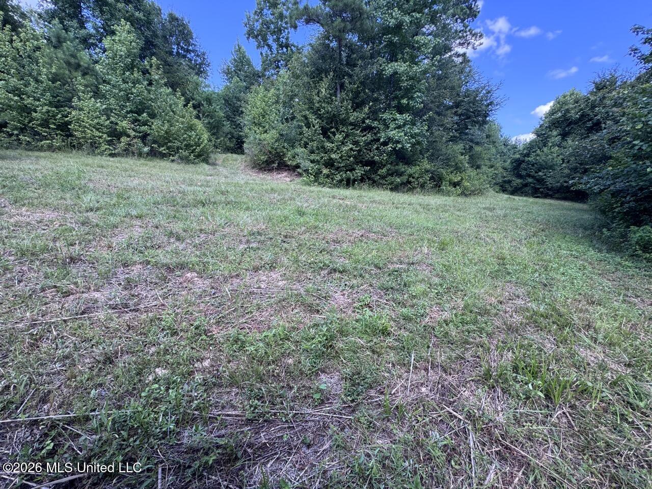 Pam Road Aimwell, LA 71401 - Photo 21 of 38 IMG_3860 Large