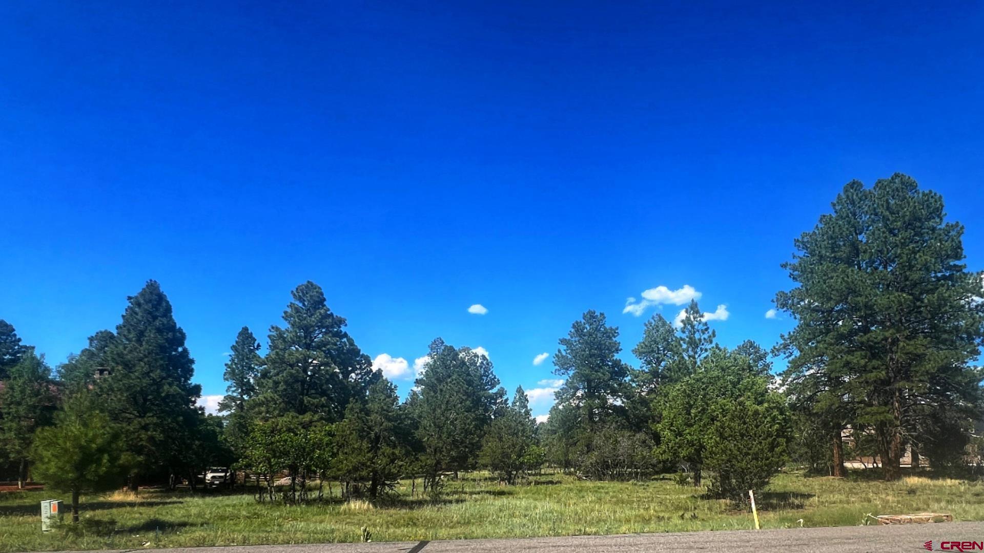 170 Puma Lane Ridgway, CO 81432 - Photo 5 of 7