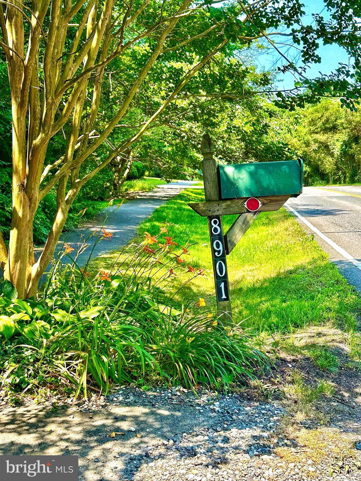 8901 Burke Road Burke, VA 22015 - Photo 2 of 63 So private you may miss it the first time