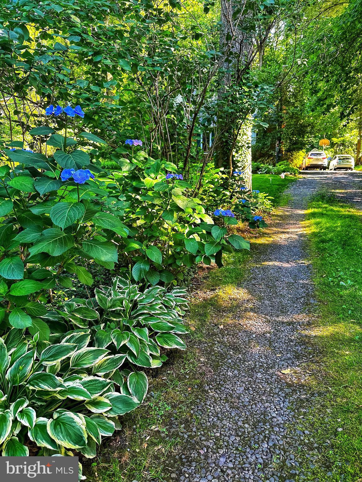 8901 Burke Road Burke, VA 22015 - Photo 3 of 63 A beautiful and long driveway
