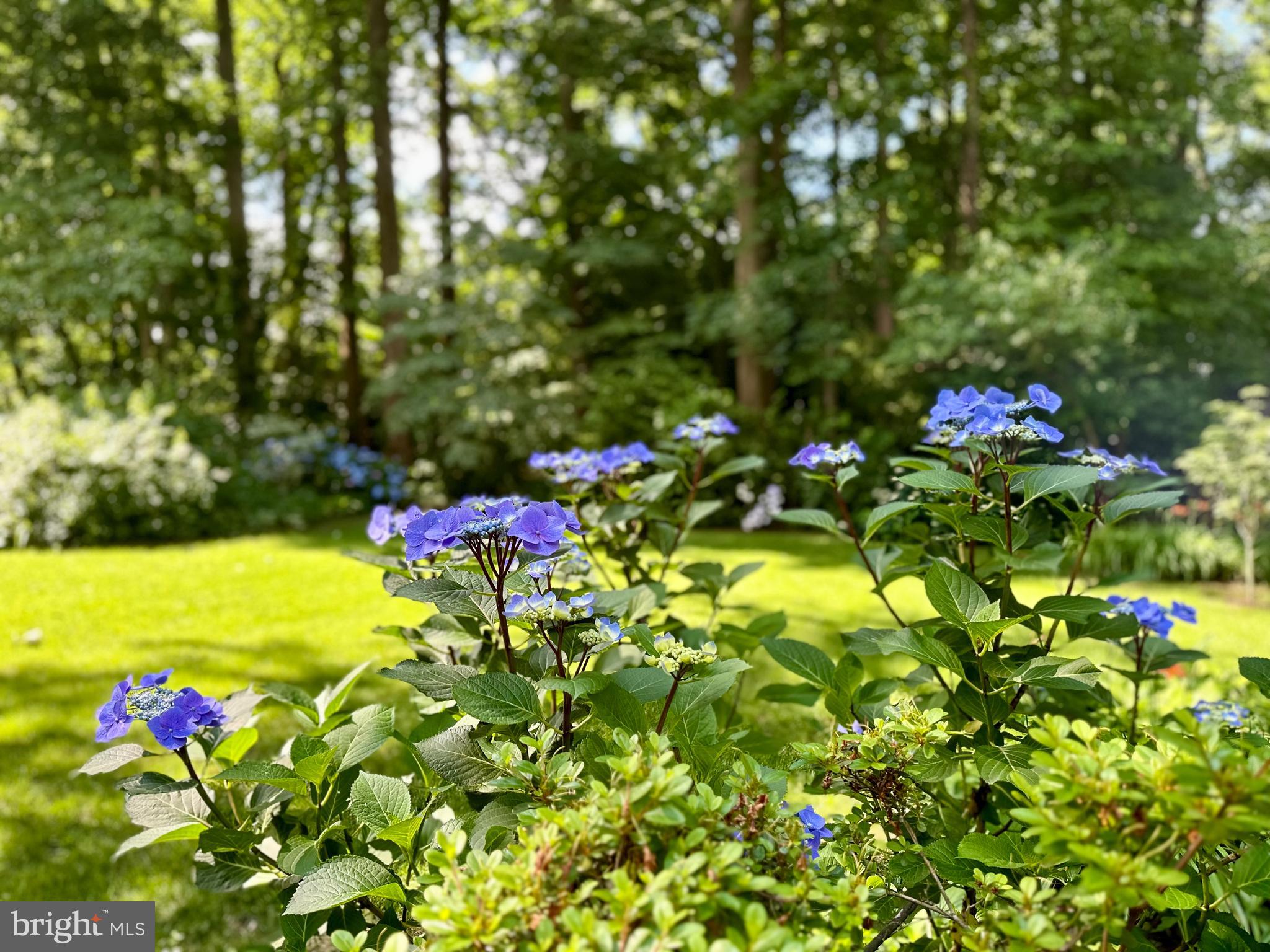 8901 Burke Road Burke, VA 22015 - Photo 45 of 63 What's waiting for you outside your windows