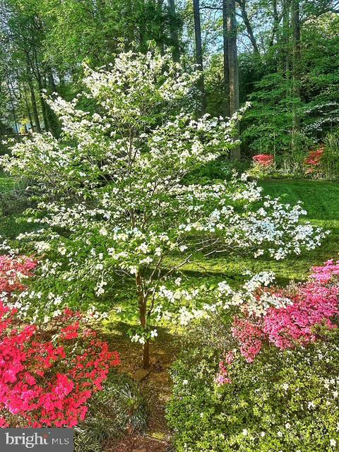 8901 Burke Road Burke, VA 22015 - Photo 46 of 63 First Light