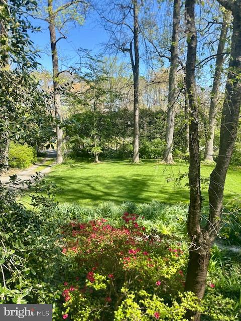 8901 Burke Road Burke, VA 22015 - Photo 47 of 63 a view of a big yard with plants and large trees
