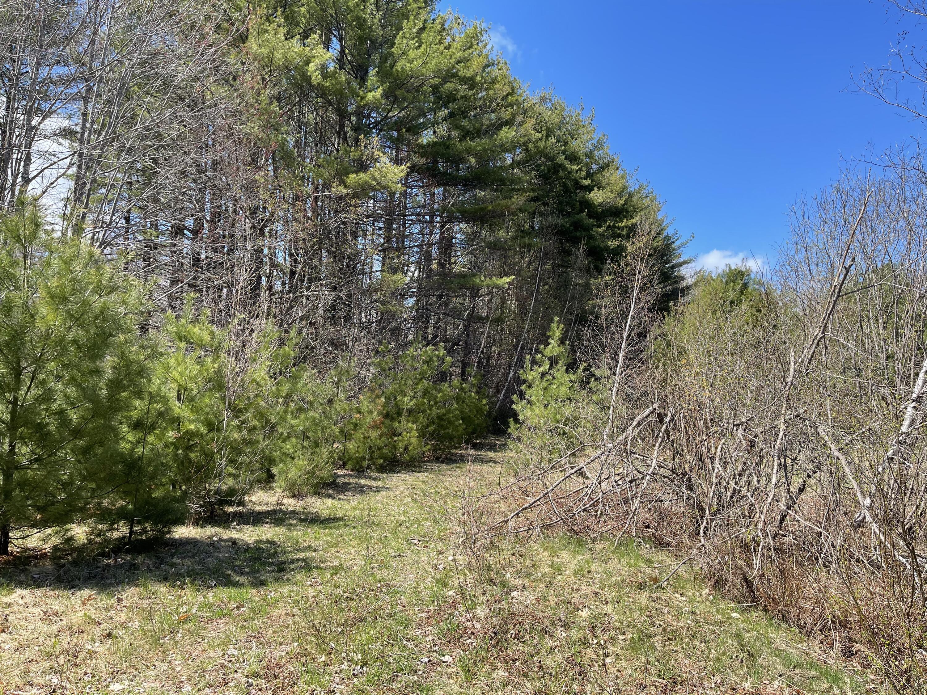 Off Mohawk Road Enfield, ME 04493 - Photo 4 of 21 FB4BC7FE-29DA-4D74-BF62-C2E2FD57D245