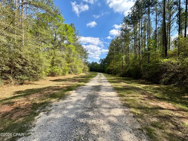 $29,900 | Undisclosed Address, Westville, FL 32464