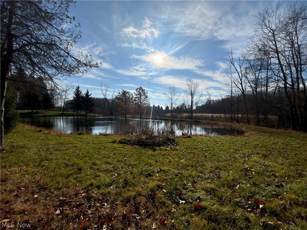 10775 Bell Road Newbury, OH 44065 - Photo 12 of 16