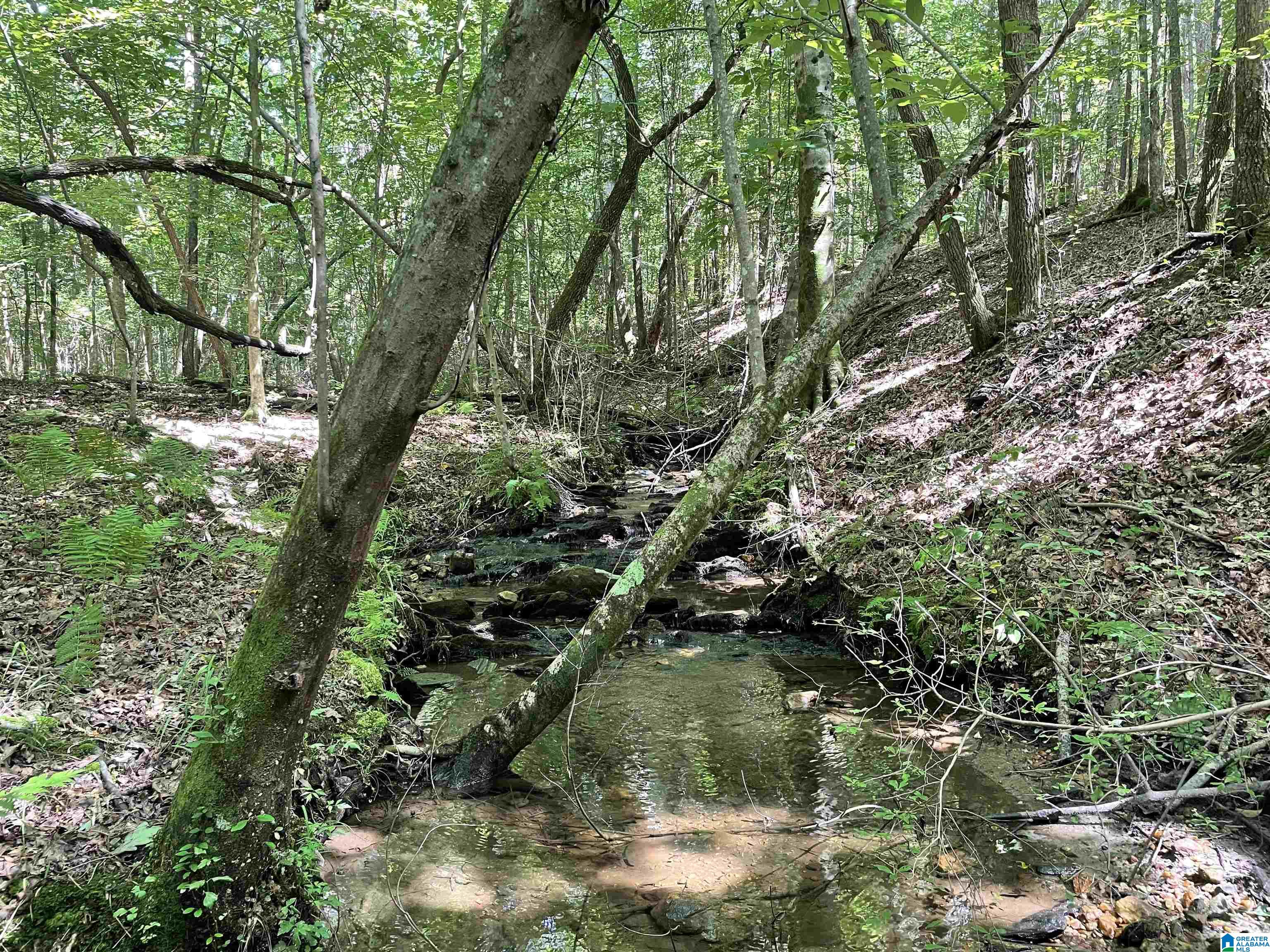 0 County Road 689, Unit 1 Ranburne, AL 36273 - Photo 46 of 69