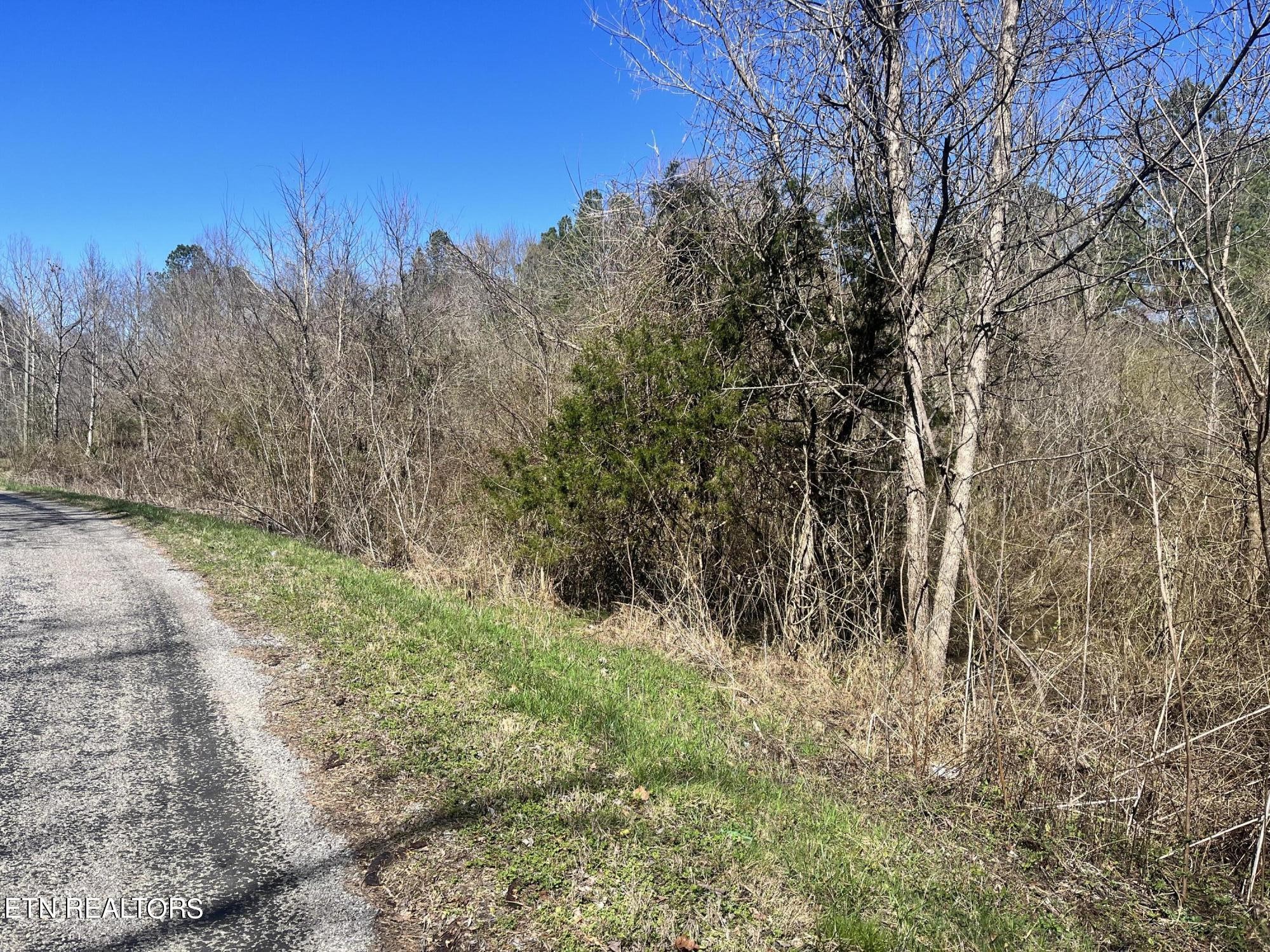 0 Sloan Road Vonore, TN 37885 - Photo 4 of 7 Gallery Image 4