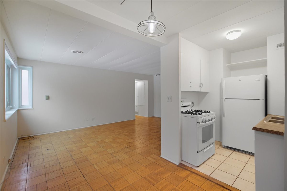 7206 Oak Avenue, Unit 1SW River Forest, IL 60305 - Photo 4 of 11