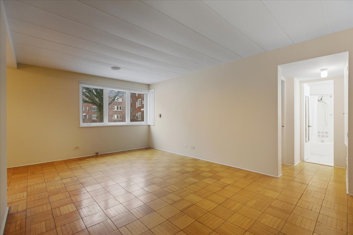 7206 Oak Avenue, Unit 1SW River Forest, IL 60305 - Photo 7 of 11