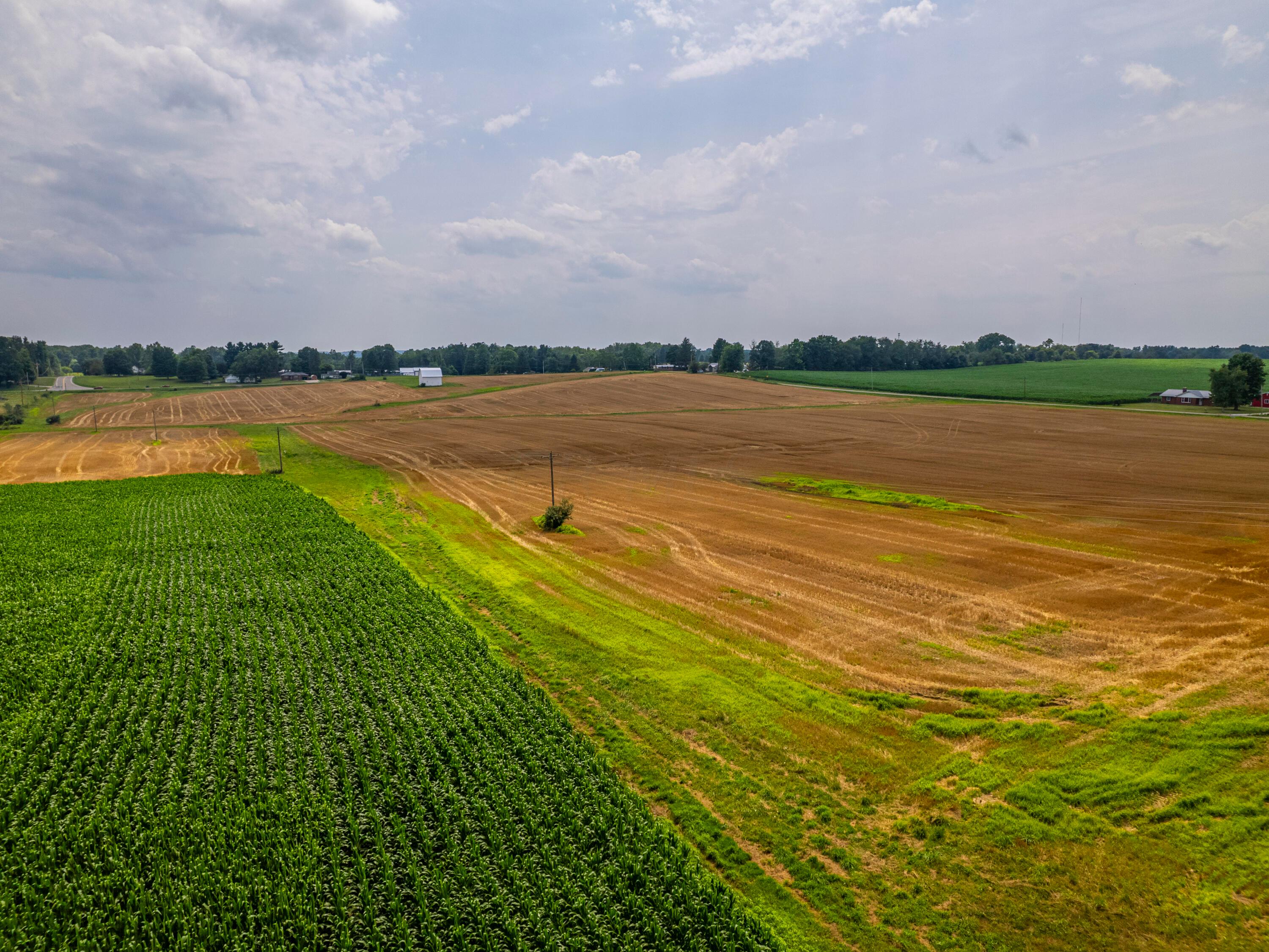 12600 Gilchrist Road Mount Vernon, OH 43050 - Photo 10 of 64 perkins-PRINT_17