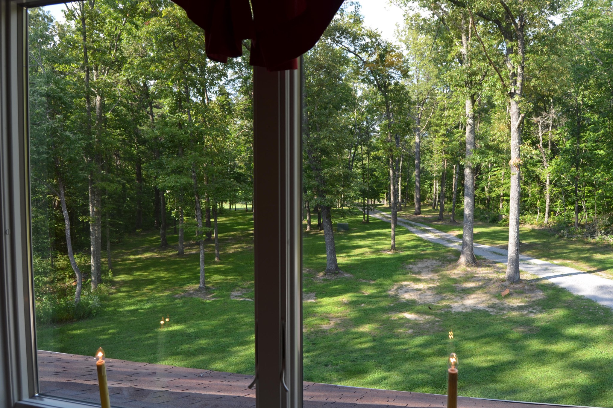 197 Rogers Road Crossville, TN 38571 - Photo 27 of 39 a view of a yard with a tree