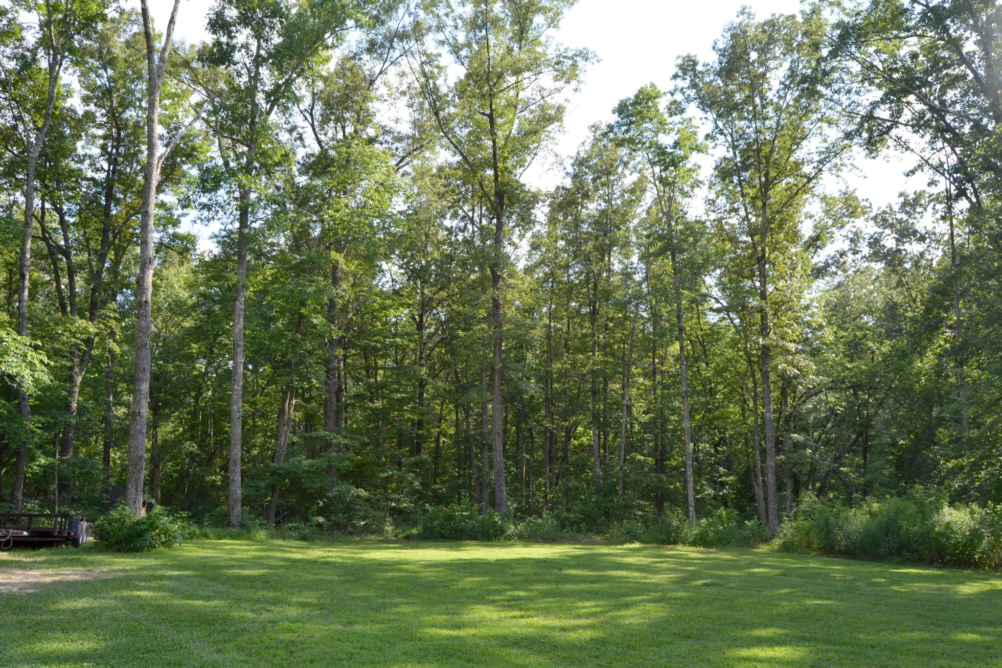 197 Rogers Road Crossville, TN 38571 - Photo 34 of 39 a view of a park