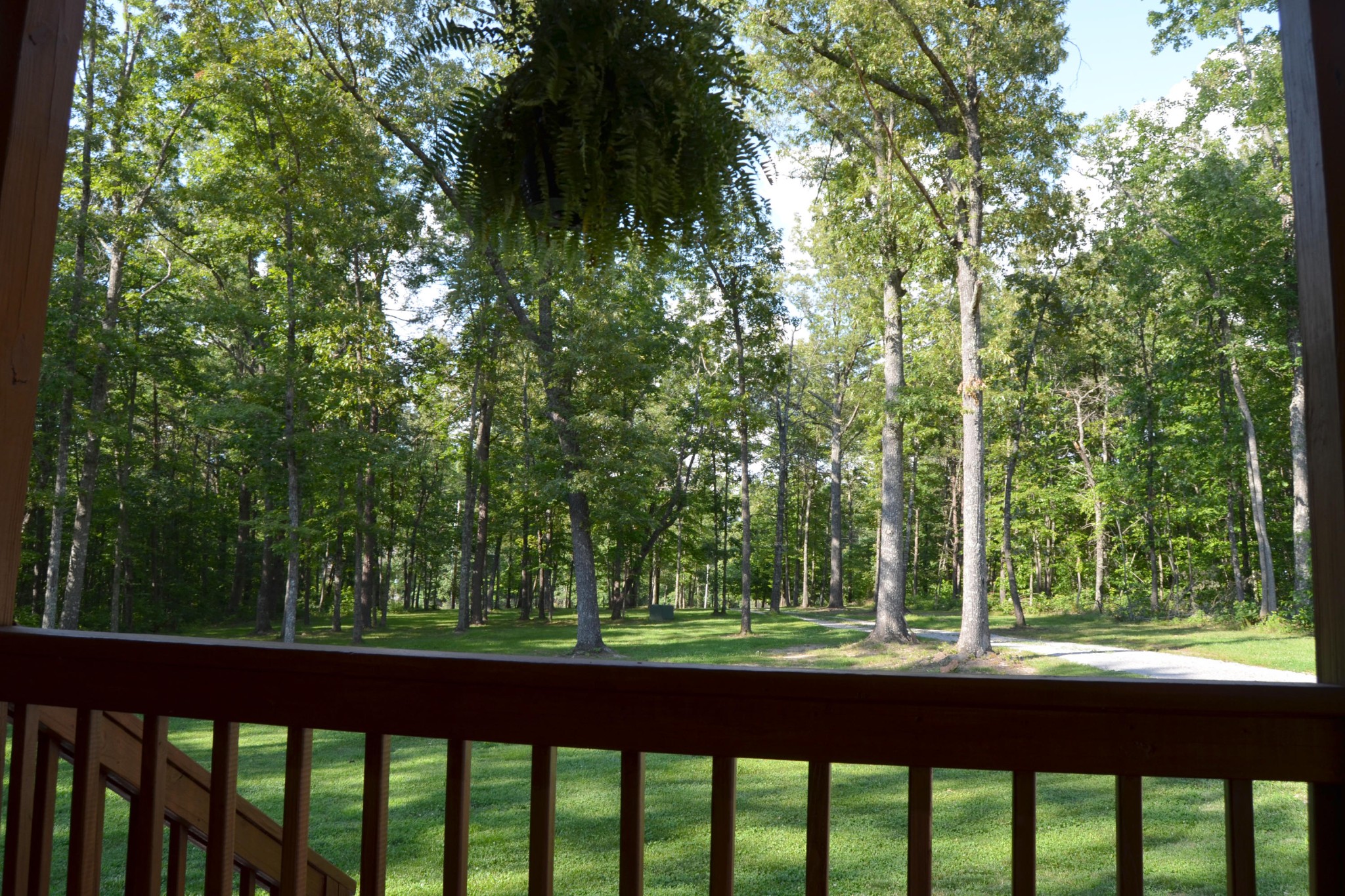 197 Rogers Road Crossville, TN 38571 - Photo 6 of 39 a view of trees and trees from a window