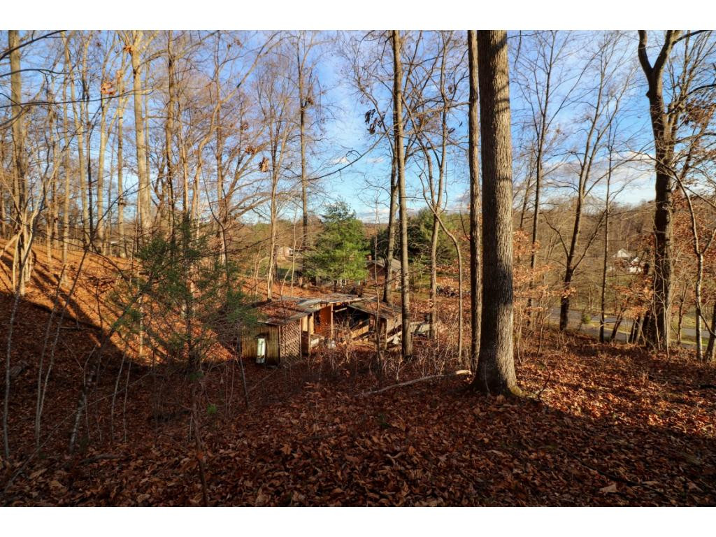 392 Cedar Branch Road Kingsport, TN 37664 - Photo 29 of 36 Photo 29
