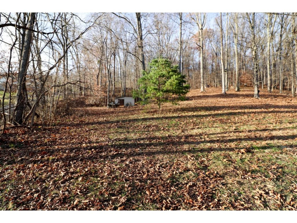 392 Cedar Branch Road Kingsport, TN 37664 - Photo 35 of 36 Photo 35