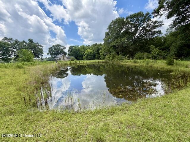 18 Easley Fortenberry Road Tylertown, MS 39667 - Photo 13 of 35 IMG_0595