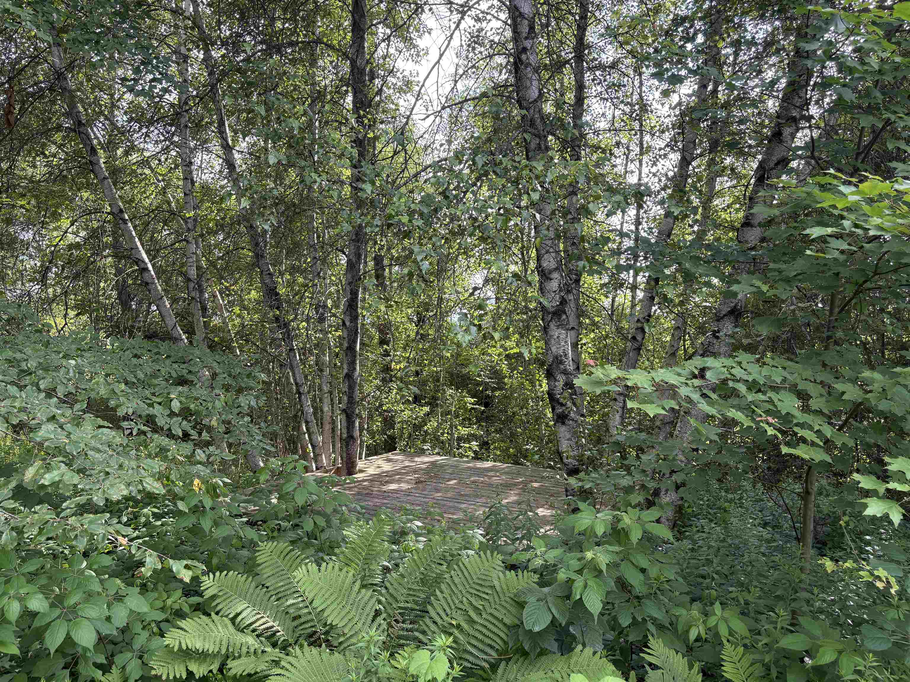 490 Delorm Road Leicester, VT 05733 - Photo 27 of 31