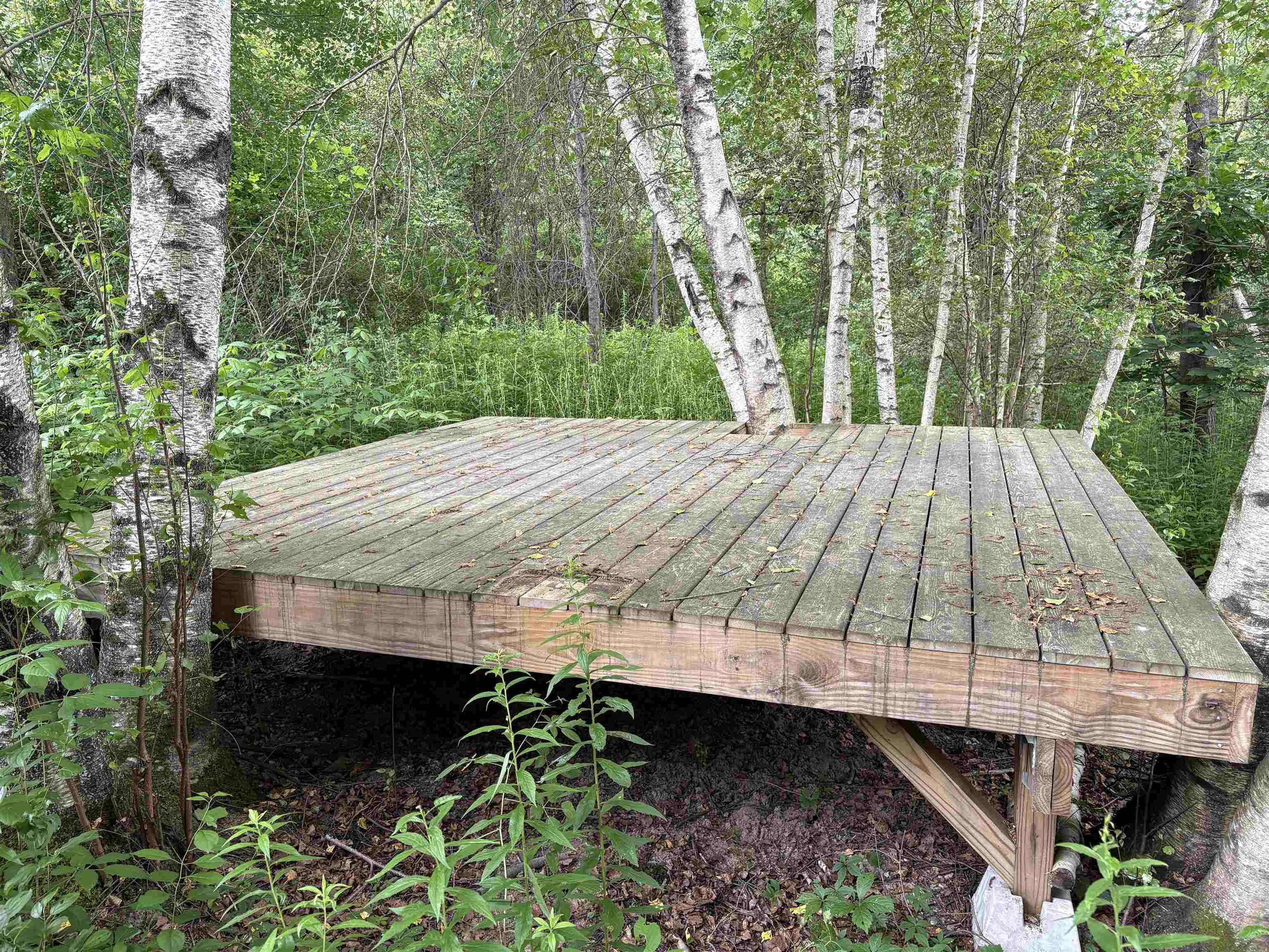 490 Delorm Road Leicester, VT 05733 - Photo 28 of 31