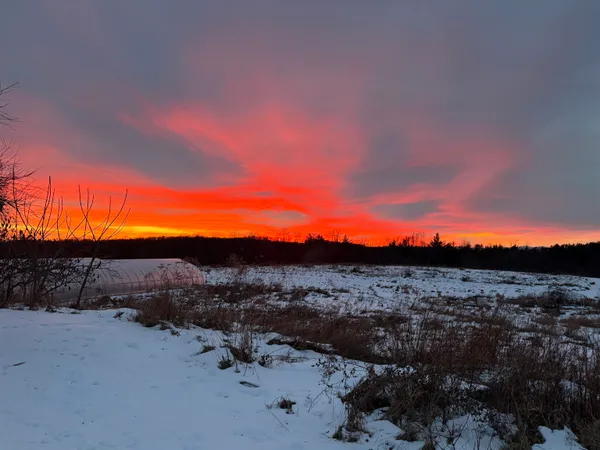 $475,000 | 490 Delorm Road, Leicester, VT 05733