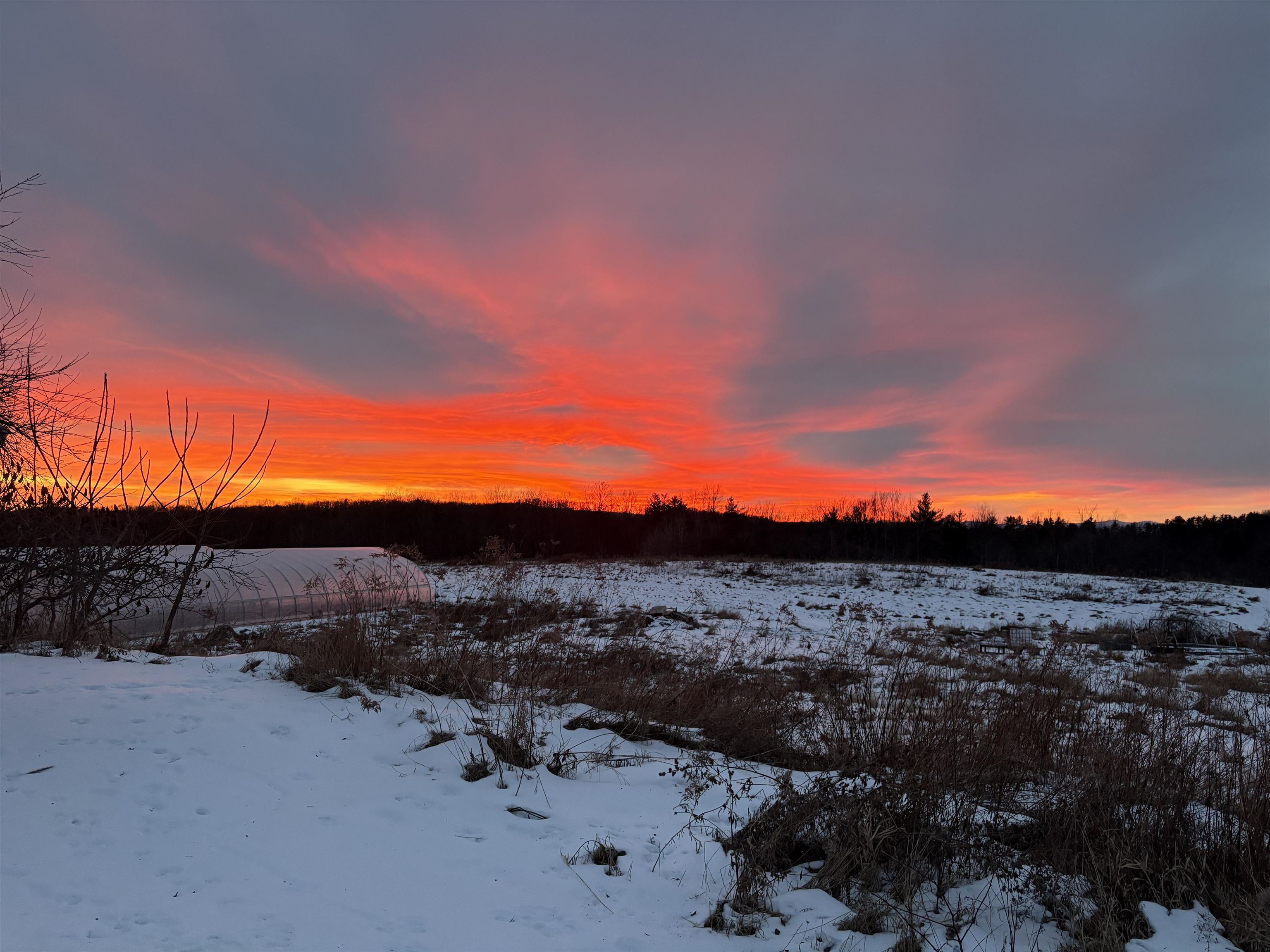 490 Delorm Road Leicester, VT 05733 - Photo 29 of 31