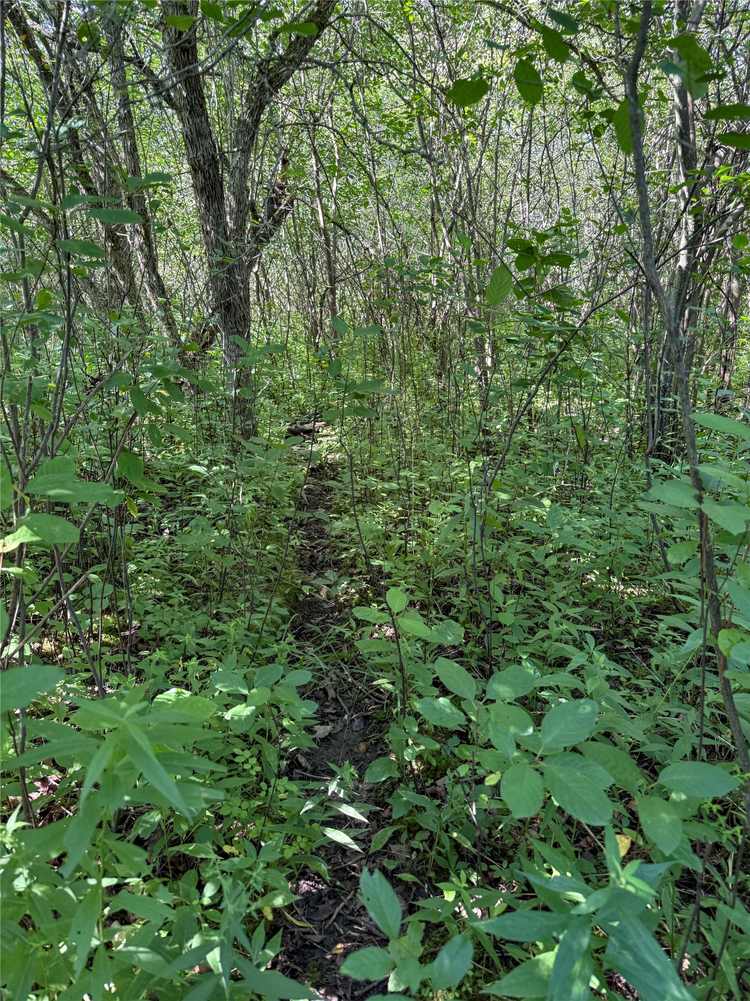0 Route 426 Route Corry, PA 16407 - Photo 7 of 12 Gallery Image 7