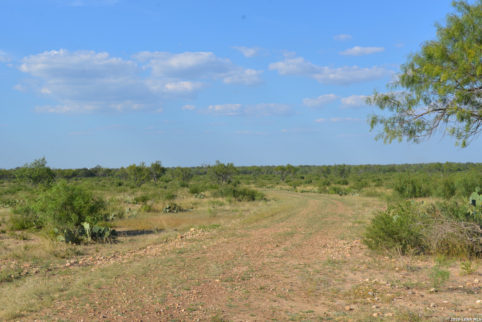 0 Fm 140 Pearsall, TX 78061 - Photo 17 of 28