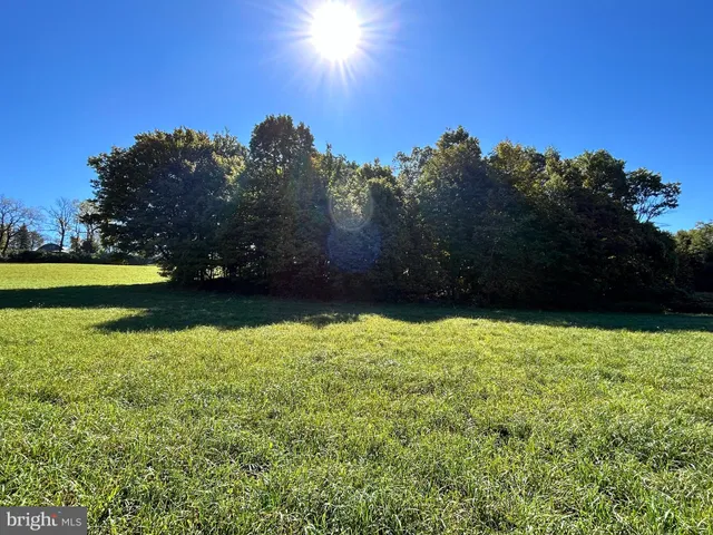 a view of an ocean from a yard