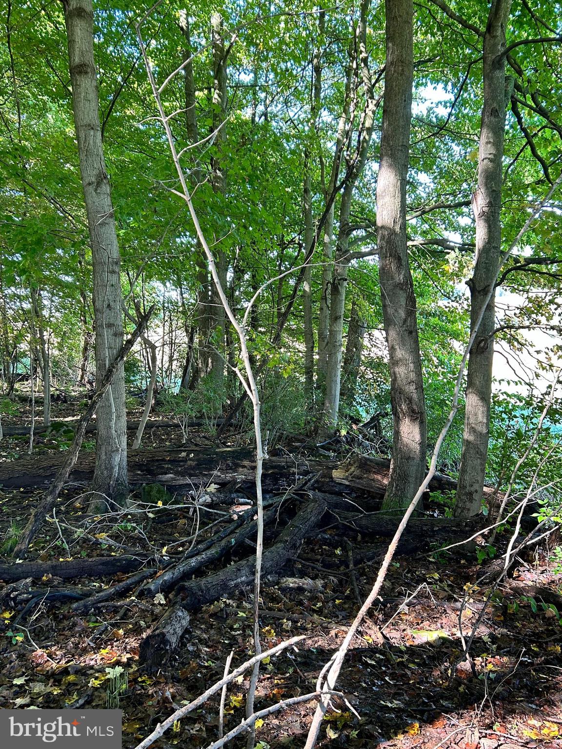 Lot #5 Linden Hall Road Boalsburg, PA 16827 - Photo 22 of 26 a backyard of a house with lots of green space
