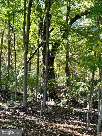 a view of an ocean and city