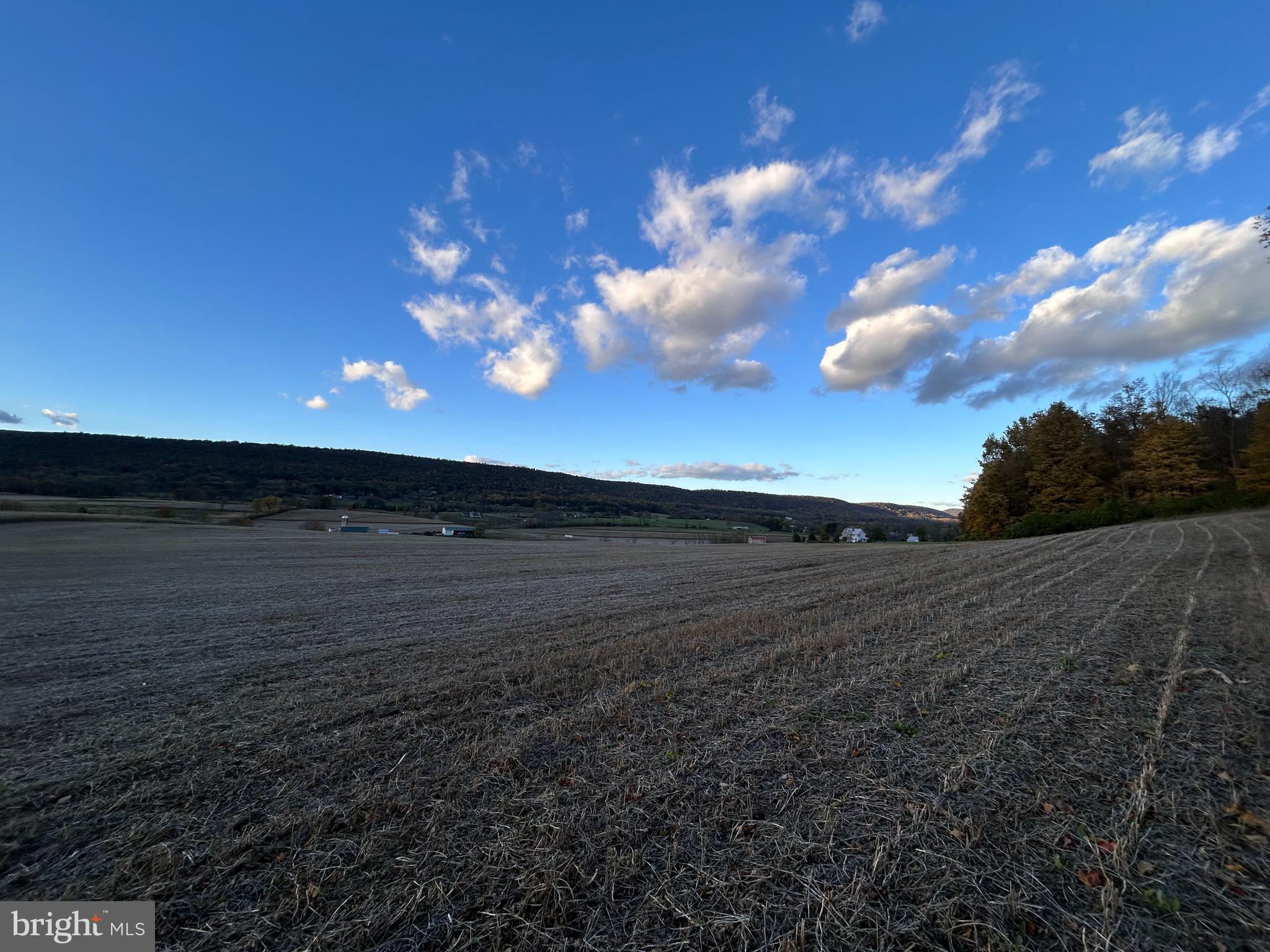 Lot #5 Linden Hall Road Boalsburg, PA 16827 - Photo 6 of 26 a view of a yard with a house