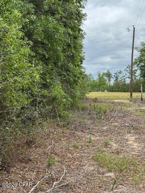 Tbd Pilgrim Rest Church Road Marianna, FL 32448 - Photo 4 of 13