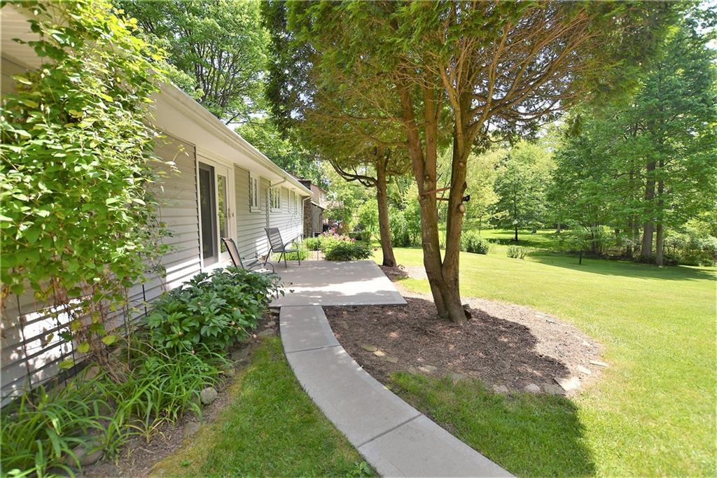 291 Moreland Road Pittsburgh, PA 15237 - Photo 4 of 50 a view of a yard with plants and trees