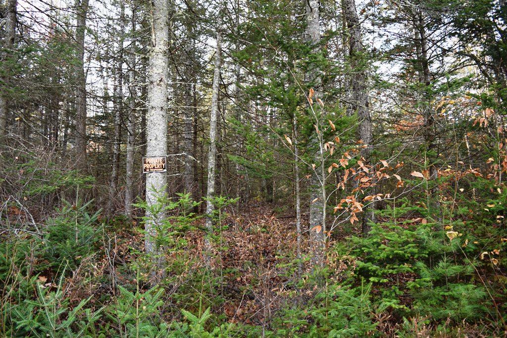 374 Moore Road Ellsworth, ME 04605 - Photo 4 of 7 L 4