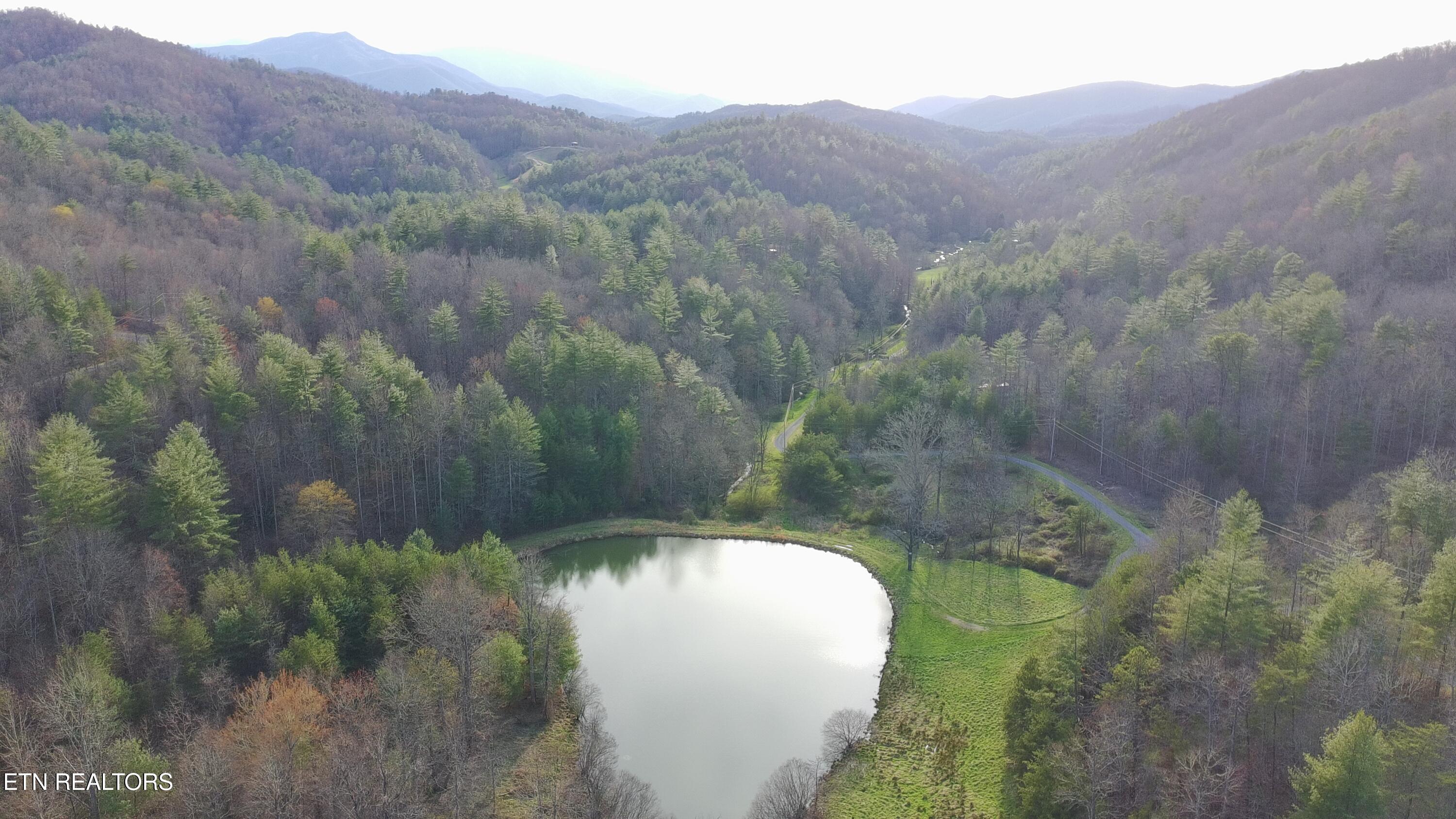 Lot 41 Black Maple Way Del Rio, TN 37727 - Photo 14 of 23 Community Pond
