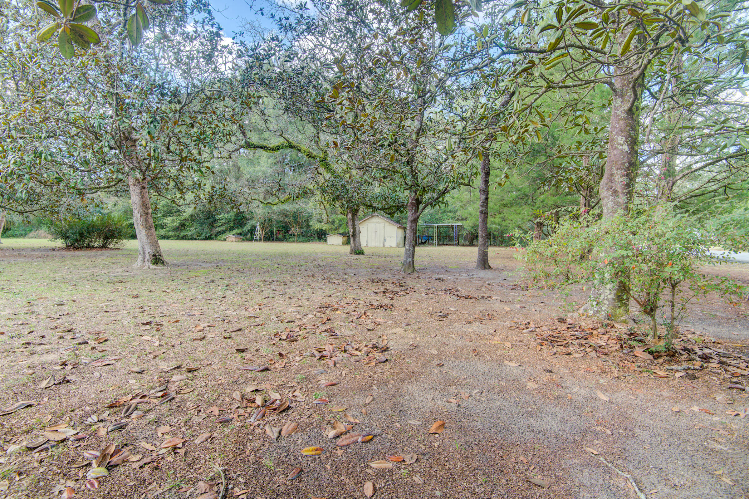 4826 Primrose Street Crestview, FL 32539 - Photo 8 of 25 a view of dirt yard with a large tree