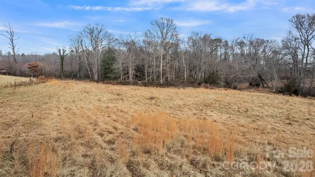 a view of a tree with a yard