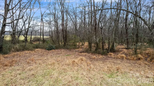 a view of a yard with a tree