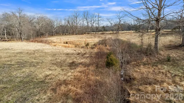 a view of a yard with trees